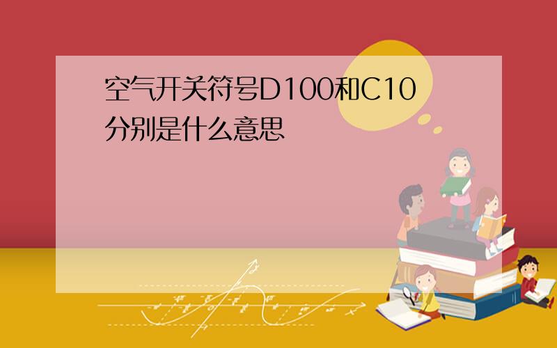 空气开关符号D100和C10分别是什么意思