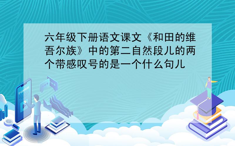 六年级下册语文课文《和田的维吾尔族》中的第二自然段儿的两个带感叹号的是一个什么句儿