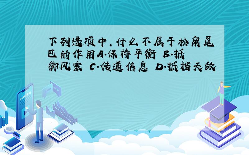 下列选项中,什么不属于松鼠尾巴的作用A.保持平衡 B.抵御风寒 C.传递信息 D.抵挡天敌