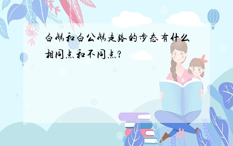 白鹅和白公鹅走路的步态有什么相同点和不同点?