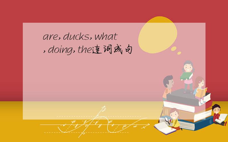 are,ducks,what,doing,the连词成句