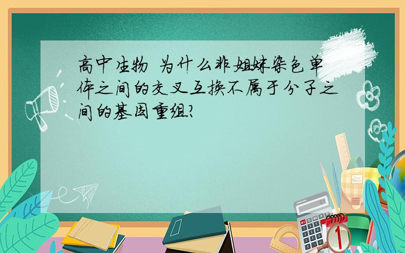 高中生物 为什么非姐妹染色单体之间的交叉互换不属于分子之间的基因重组?