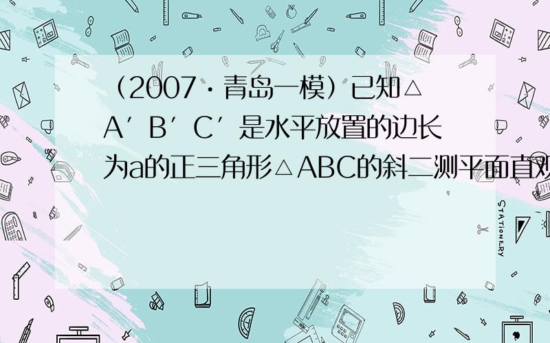 （2007•青岛一模）已知△A′B′C′是水平放置的边长为a的正三角形△ABC的斜二测平面直观图，那么△A′B′C′的面