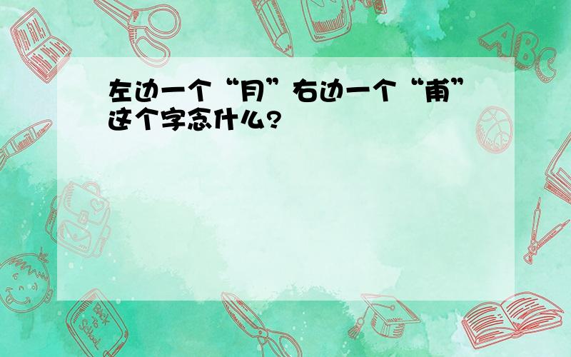 左边一个“月”右边一个“甫”这个字念什么?