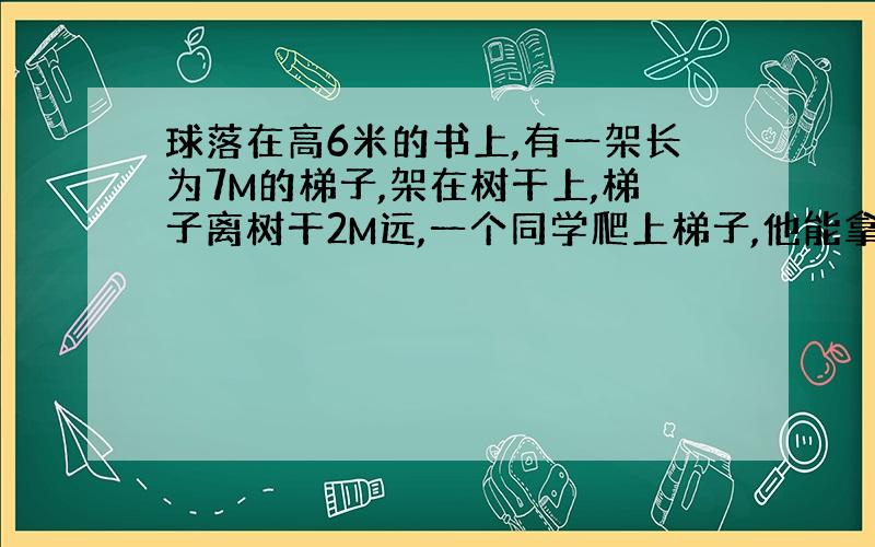 球落在高6米的书上,有一架长为7M的梯子,架在树干上,梯子离树干2M远,一个同学爬上梯子,他能拿到球吗?