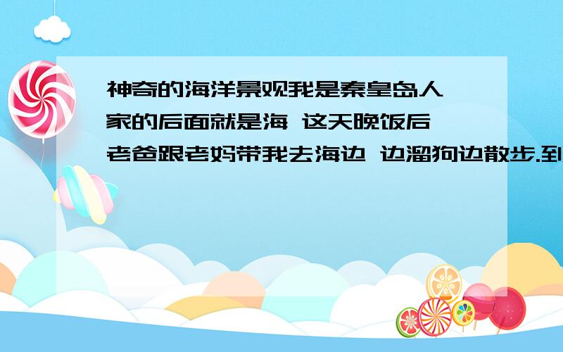 神奇的海洋景观我是秦皇岛人 家的后面就是海 这天晚饭后 老爸跟老妈带我去海边 边溜狗边散步.到了大海时候 没发觉跟平时有