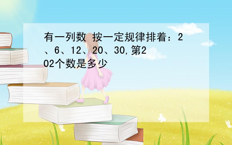 有一列数 按一定规律排着：2、6、12、20、30,第202个数是多少