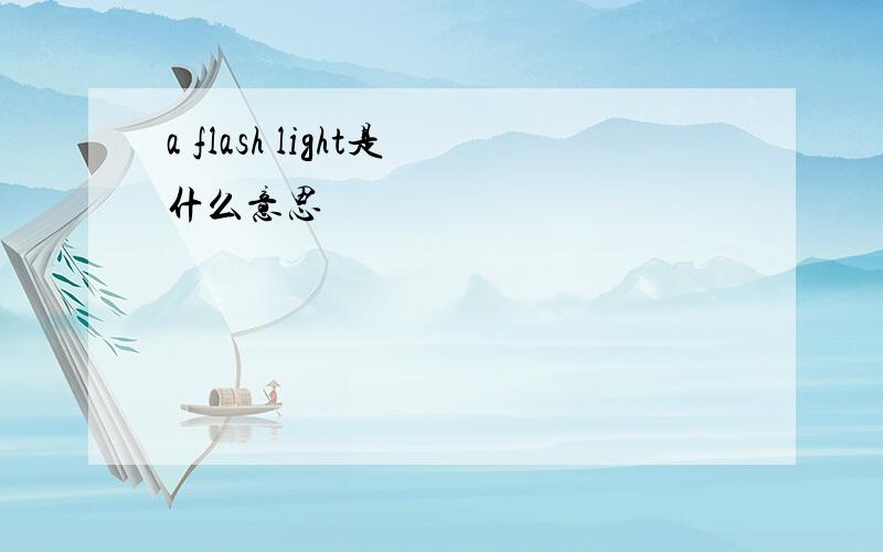 a flash light是什么意思