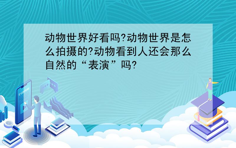 动物世界好看吗?动物世界是怎么拍摄的?动物看到人还会那么自然的“表演”吗?