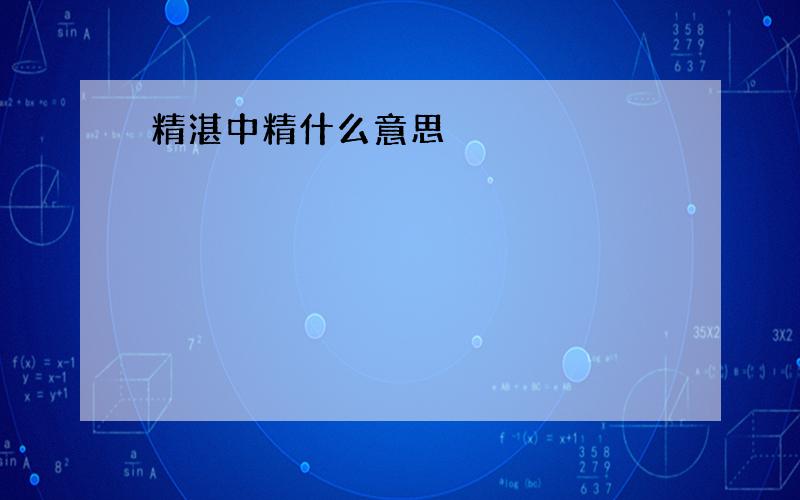 精湛中精什么意思