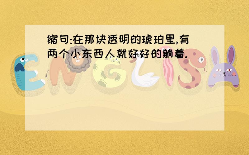 缩句:在那块透明的琥珀里,有两个小东西人就好好的躺着.