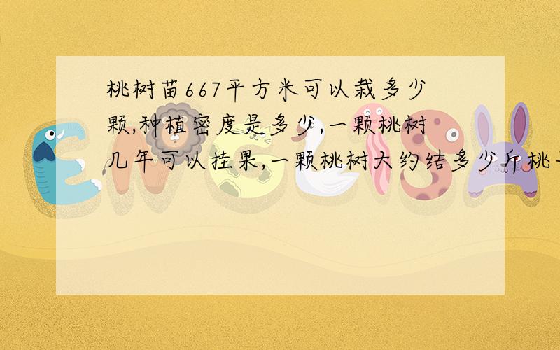 桃树苗667平方米可以栽多少颗,种植密度是多少,一颗桃树几年可以挂果,一颗桃树大约结多少斤桃子,