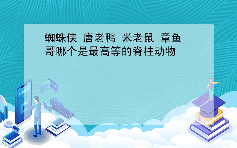 蜘蛛侠 唐老鸭 米老鼠 章鱼哥哪个是最高等的脊柱动物