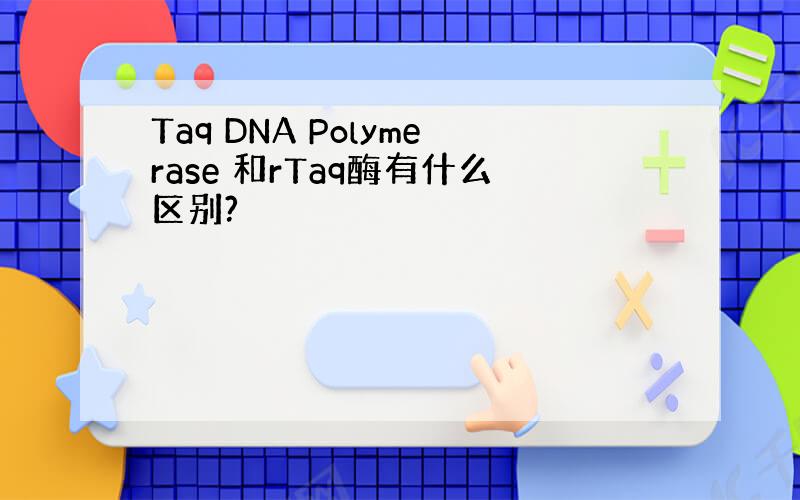 Taq DNA Polymerase 和rTaq酶有什么区别?