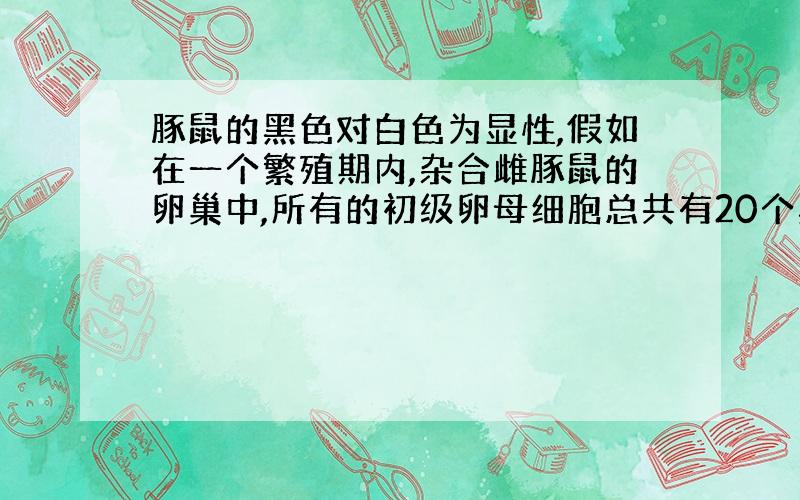 豚鼠的黑色对白色为显性,假如在一个繁殖期内,杂合雌豚鼠的卵巢中,所有的初级卵母细胞总共有20个黑色基因,经过减数分裂后,