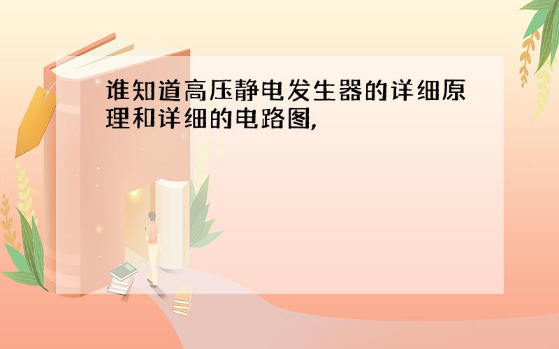 谁知道高压静电发生器的详细原理和详细的电路图,