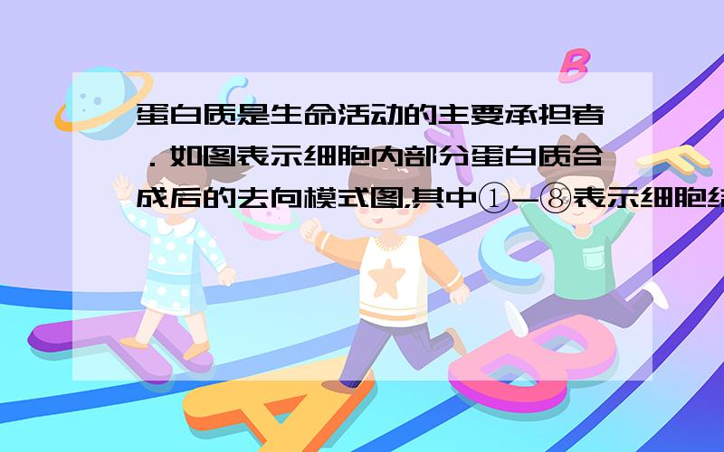 蛋白质是生命活动的主要承担者．如图表示细胞内部分蛋白质合成后的去向模式图，其中①-⑧表示细胞结构，甲-丁表示结构中的物质