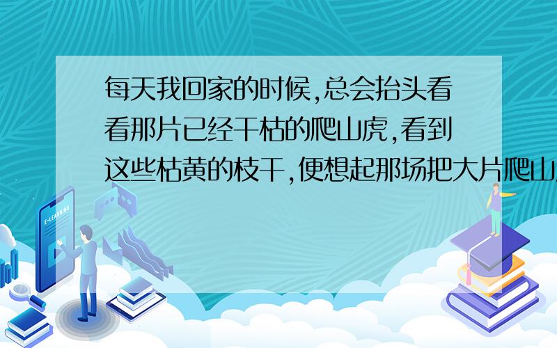 每天我回家的时候,总会抬头看看那片已经干枯的爬山虎,看到这些枯黄的枝干,便想起那场把大片爬山虎熏焦的前一栋楼发生的大火,