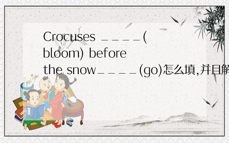 Crocuses ____(bloom) before the snow____(go)怎么填,并且解释一下为什么这样填