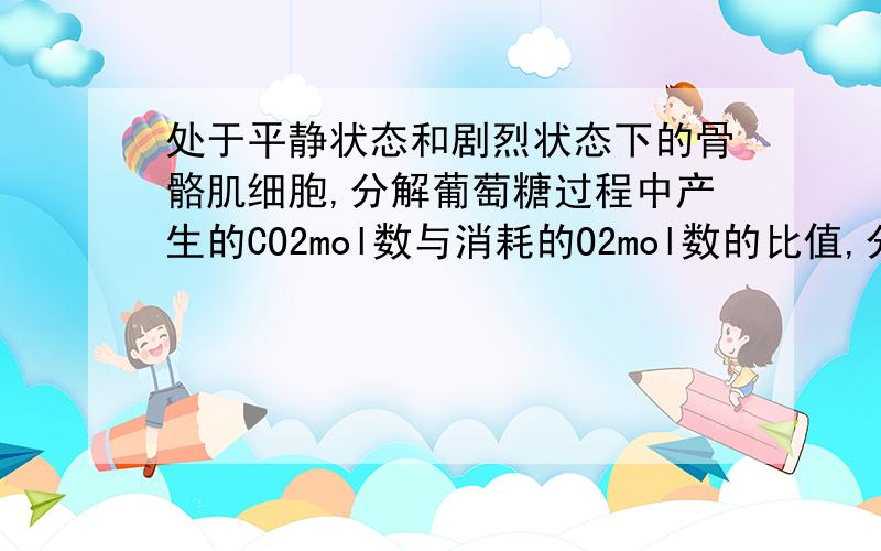 处于平静状态和剧烈状态下的骨骼肌细胞,分解葡萄糖过程中产生的CO2mol数与消耗的O2mol数的比值,分别是