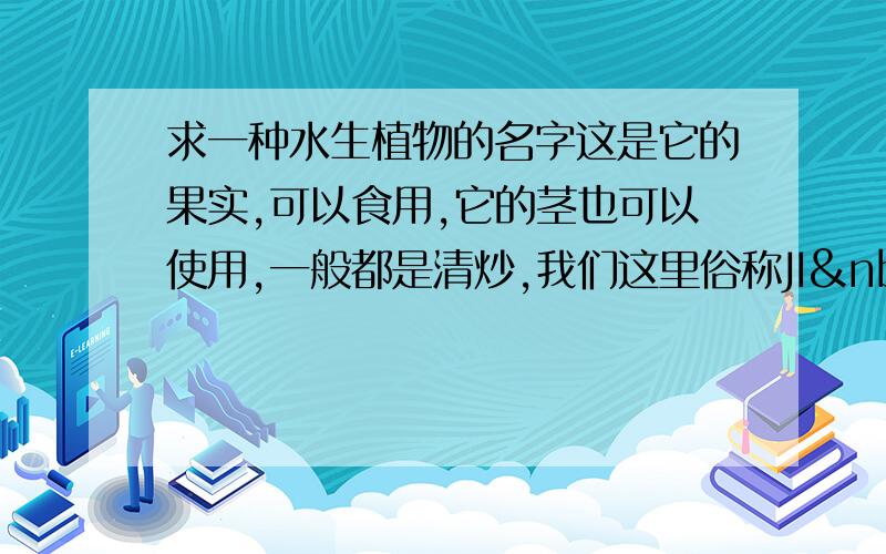 求一种水生植物的名字这是它的果实,可以食用,它的茎也可以使用,一般都是清炒,我们这里俗称JI LAI 