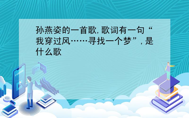 孙燕姿的一首歌,歌词有一句“我穿过风……寻找一个梦”,是什么歌