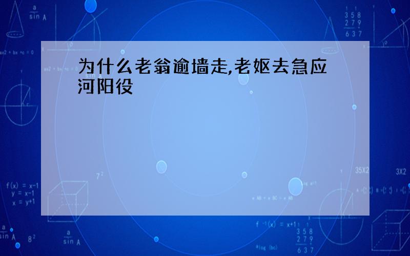 为什么老翁逾墙走,老妪去急应河阳役