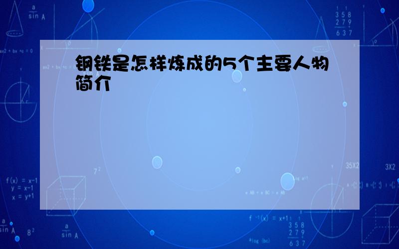 钢铁是怎样炼成的5个主要人物简介