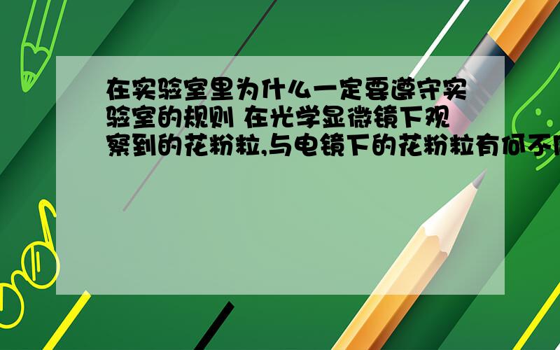 在实验室里为什么一定要遵守实验室的规则 在光学显微镜下观察到的花粉粒,与电镜下的花粉粒有何不同