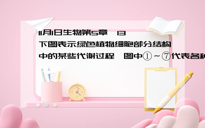 11月1日生物第5章,13,下图表示绿色植物细胞部分结构中的某些代谢过程,图中①～⑦代表各种物质.