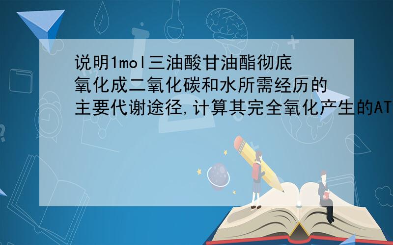 说明1mol三油酸甘油酯彻底氧化成二氧化碳和水所需经历的主要代谢途径,计算其完全氧化产生的ATP的摩尔数