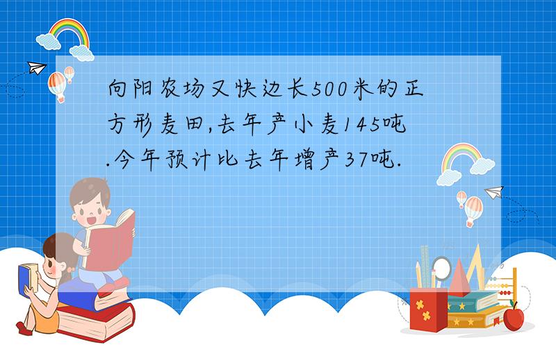 向阳农场又快边长500米的正方形麦田,去年产小麦145吨.今年预计比去年增产37吨.