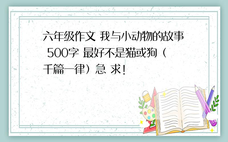 六年级作文 我与小动物的故事 500字 最好不是猫或狗（千篇一律）急 求!