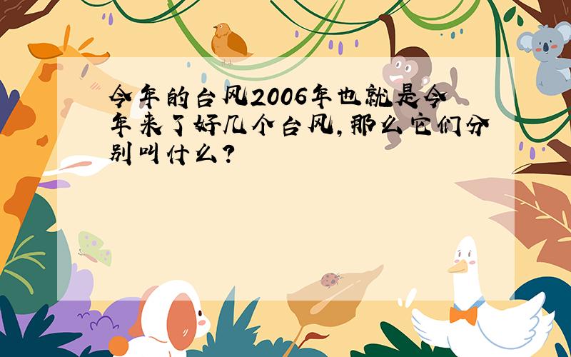 今年的台风2006年也就是今年来了好几个台风,那么它们分别叫什么?