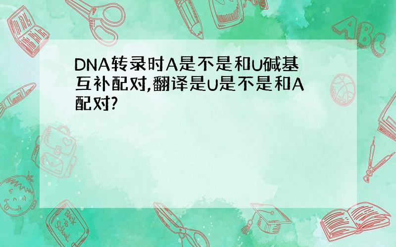 DNA转录时A是不是和U碱基互补配对,翻译是U是不是和A配对?