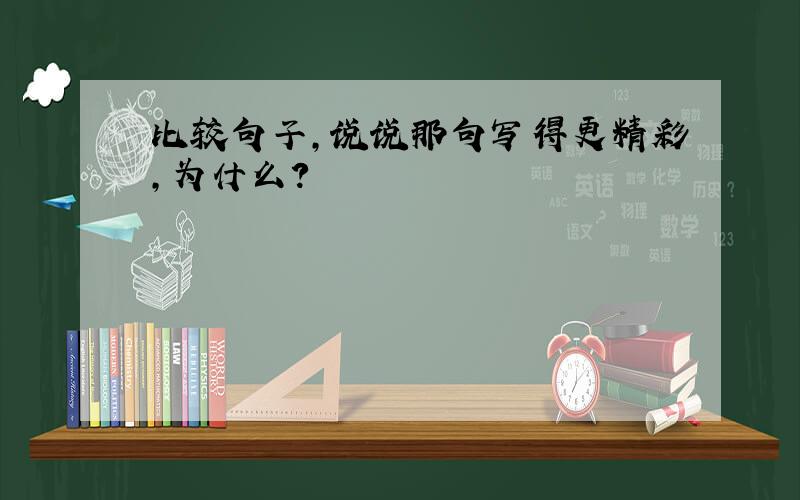 比较句子,说说那句写得更精彩,为什么?