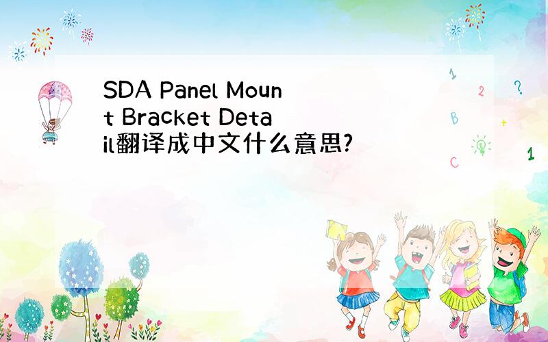 SDA Panel Mount Bracket Detail翻译成中文什么意思?