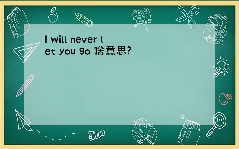 I will never let you go 啥意思?