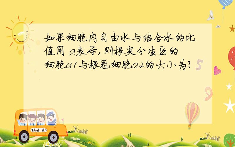 如果细胞内自由水与结合水的比值用 a表示,则根尖分生区的细胞a1与根冠细胞a2的大小为?