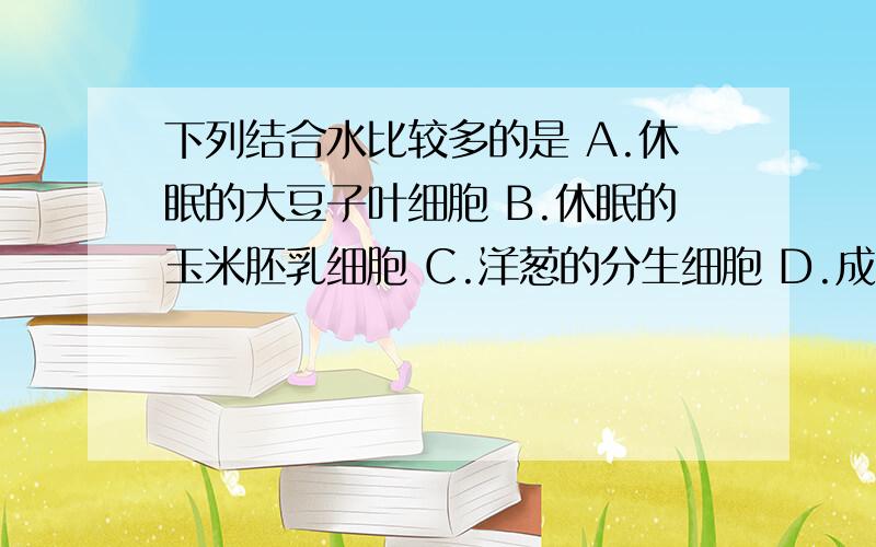 下列结合水比较多的是 A.休眠的大豆子叶细胞 B.休眠的玉米胚乳细胞 C.洋葱的分生细胞 D.成熟西瓜的果肉细胞 A （