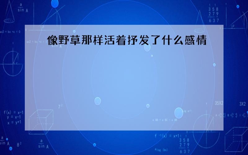 像野草那样活着抒发了什么感情