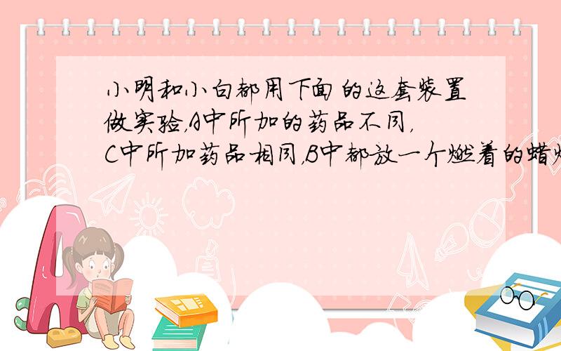 小明和小白都用下面的这套装置做实验，A中所加的药品不同，C中所加药品相同，B中都放一个燃着的蜡烛，敞口时蜡烛能持续燃烧．