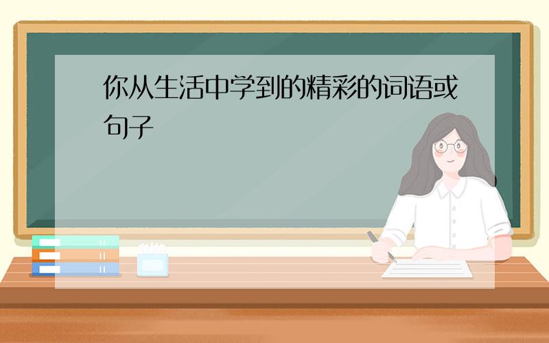 你从生活中学到的精彩的词语或句子