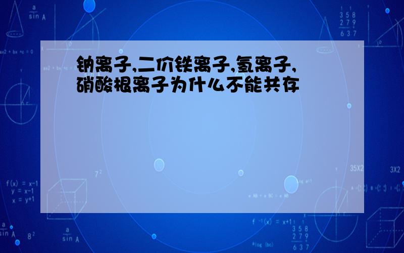 钠离子,二价铁离子,氢离子,硝酸根离子为什么不能共存