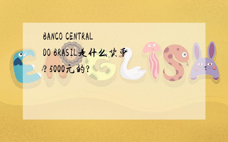 BANCO CENTRAL DO BRASIL是什么货币?5000元的?