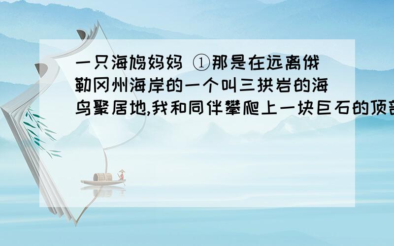 一只海鸠妈妈 ①那是在远离俄勒冈州海岸的一个叫三拱岩的海鸟聚居地,我和同伴攀爬上一块巨石的顶部.在这坑坑洼洼的岩脊一侧栖