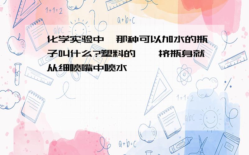 化学实验中,那种可以加水的瓶子叫什么?塑料的,一挤瓶身就从细喷嘴中喷水