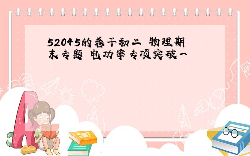 52045的卷子初二 物理期末专题 电功率专项突破一