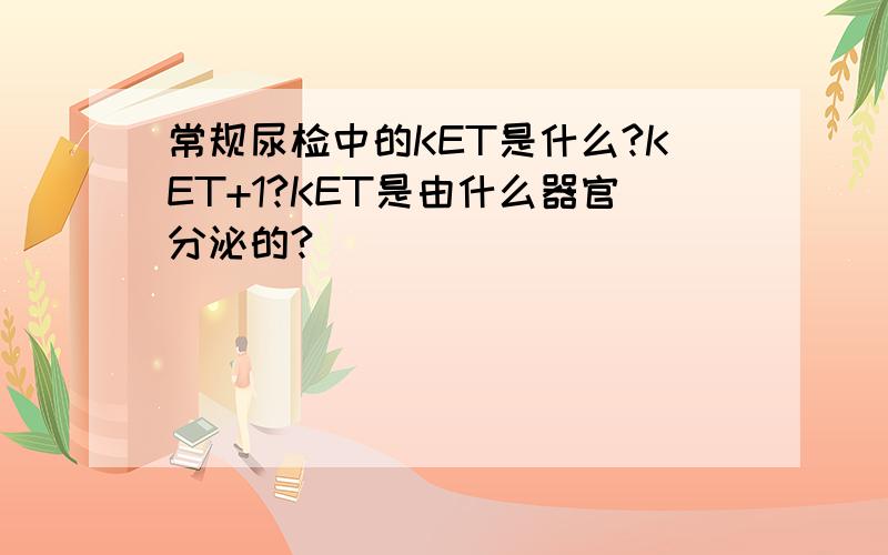 常规尿检中的KET是什么?KET+1?KET是由什么器官分泌的?