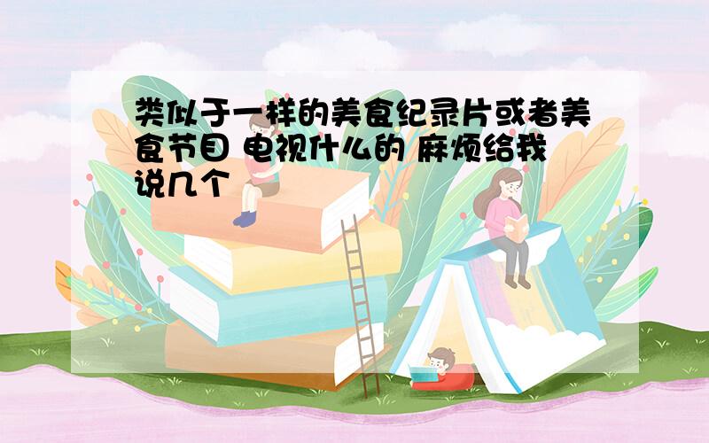 类似于一样的美食纪录片或者美食节目 电视什么的 麻烦给我说几个